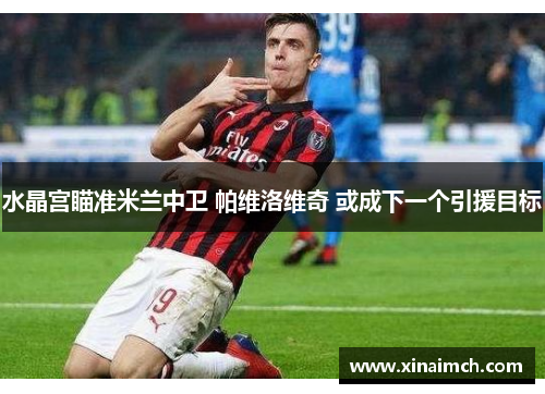 水晶宫瞄准米兰中卫 帕维洛维奇 或成下一个引援目标